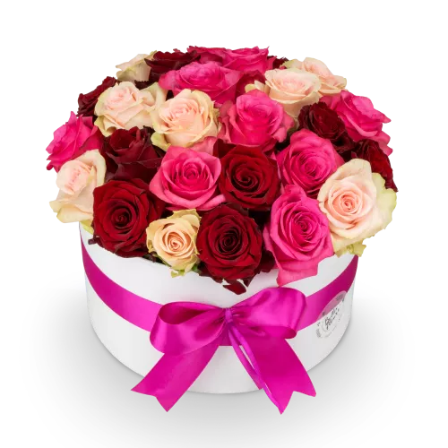 Květinový box růží